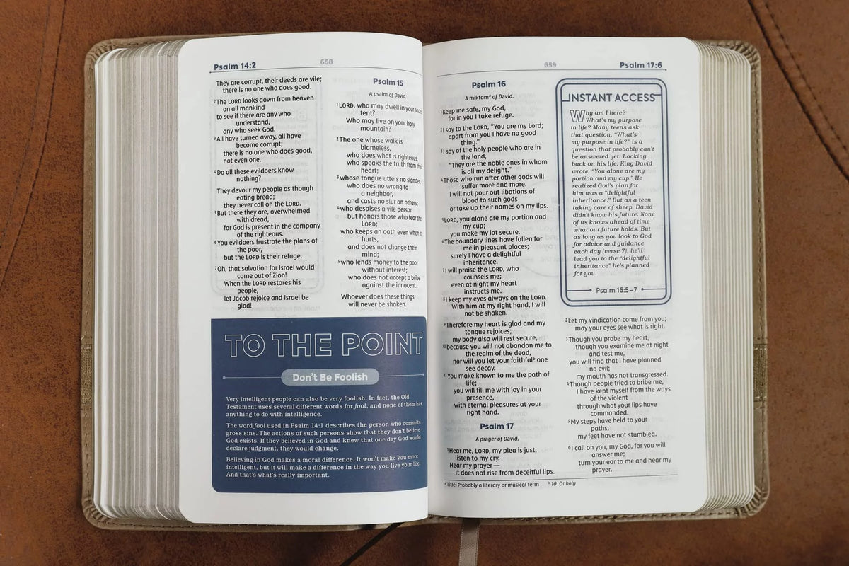 Teen Study Bible Compact Brown Comfort Print P5086