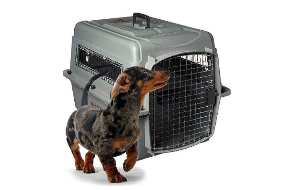 Pet Kennel Pet Carrier G776871