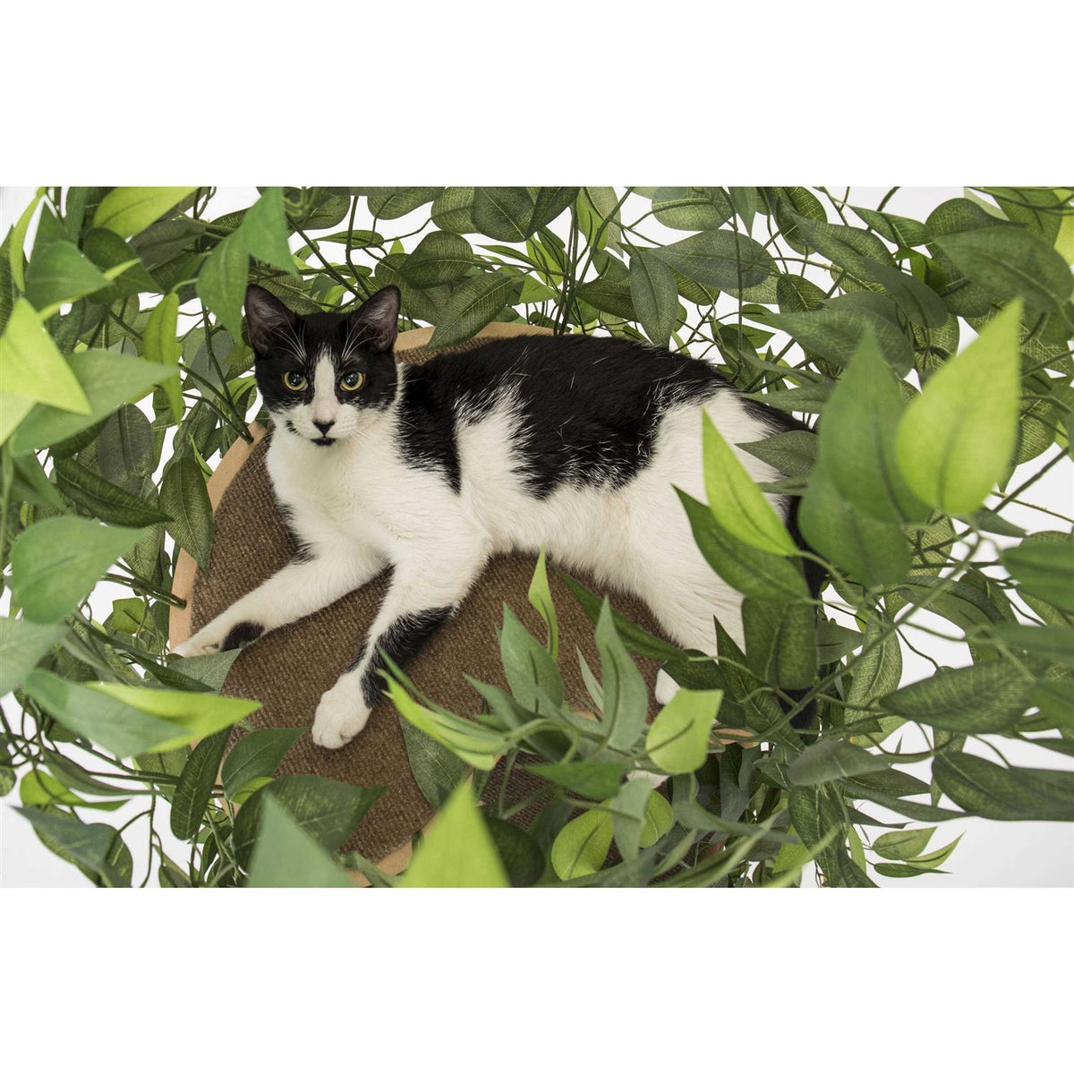 Cat Tree with Leaves Cat House & Cat Activity Tree N392