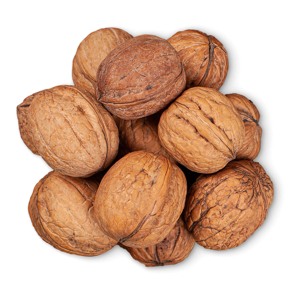 Jumbo Walnuts in Shell, 5 Pounds P18711