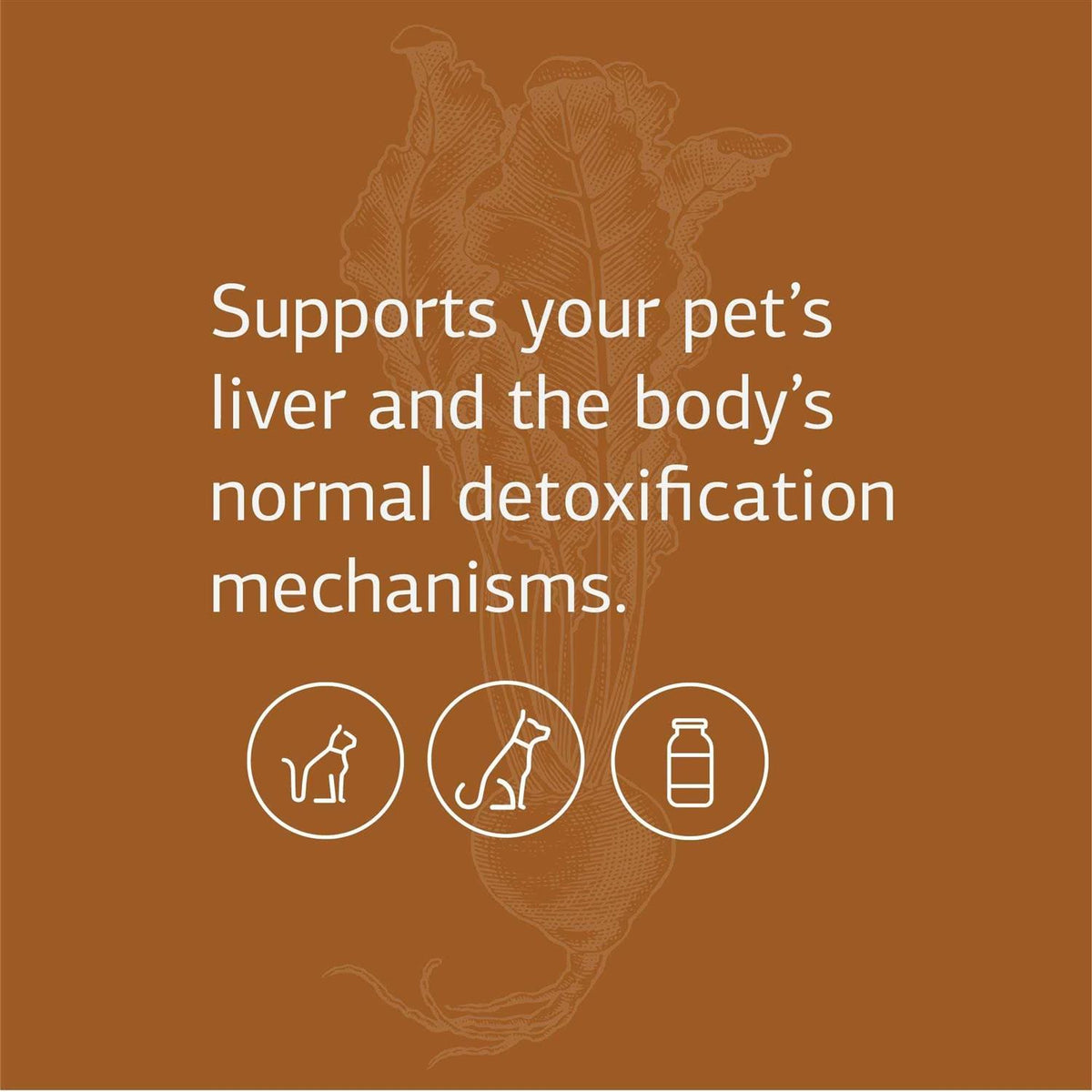 Antronex for Pets Q918090