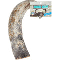 Dog Water Buffalo Horn Small M128