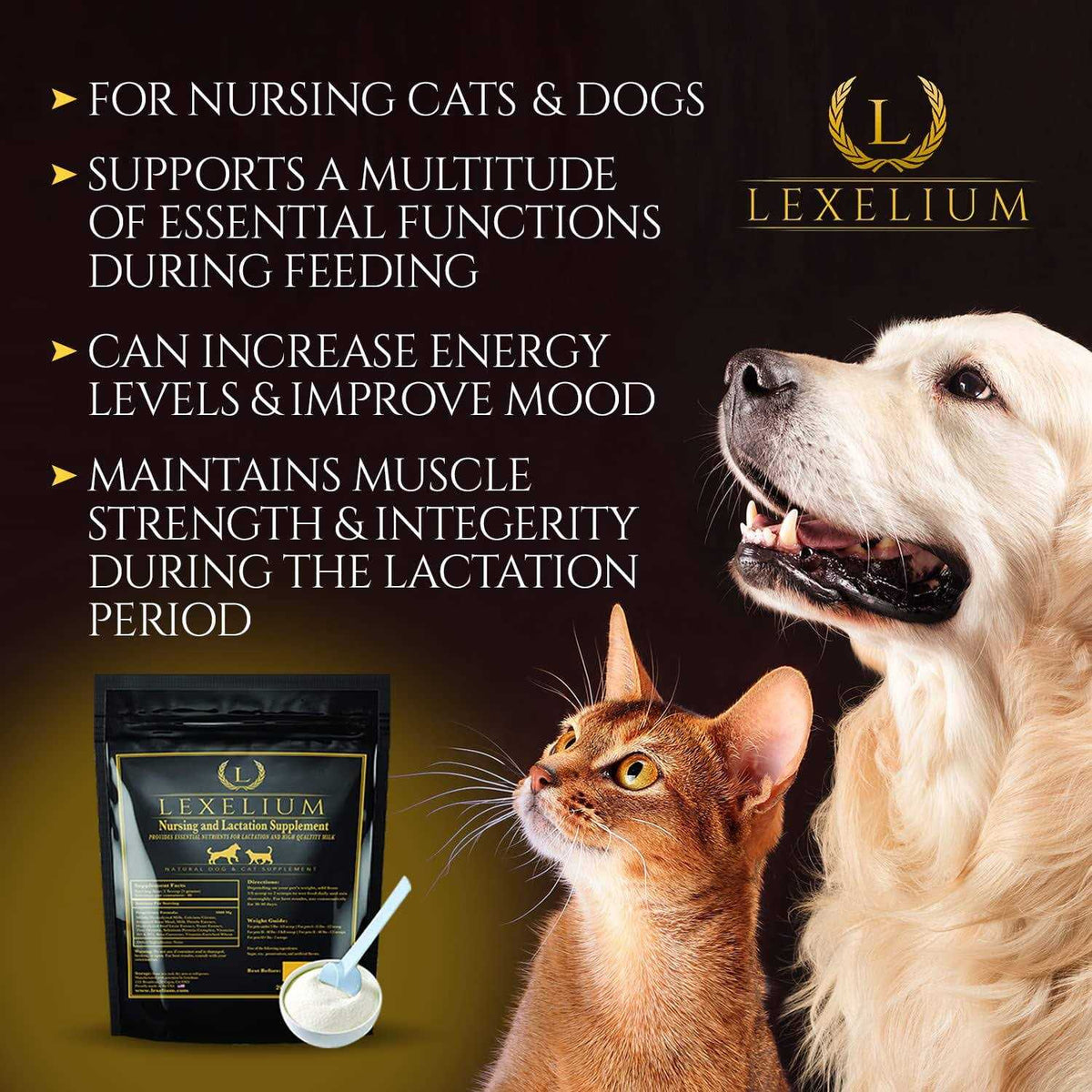 Nursing and Lactation Supplement for Dogs and Cats Z657