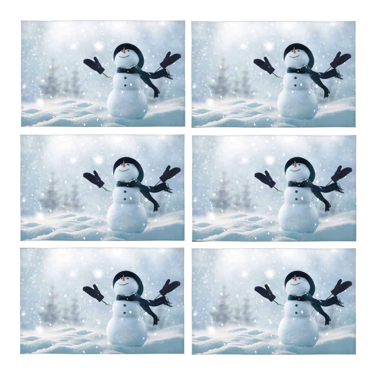 Winter Christmas Landscape Placemats O78654