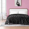 Black Ultra Soft Plush Twin Blanket B481804