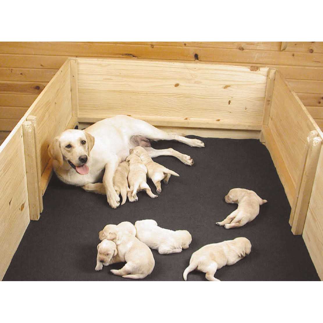 Whelping Box Liner Mat F9598