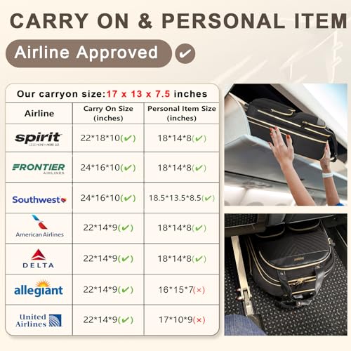 Black Gold Carry On Rolling Suitcase F7838