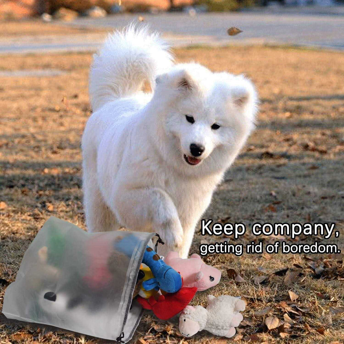 12 Dog Toys Bulk with Squeakers U452777
