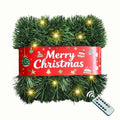 30 Feet 50 LED Battery Operated Pre-Lit Green Garland P83179