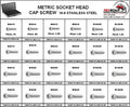 Stainless Metric Socket Head Cap Screws Assortment D199