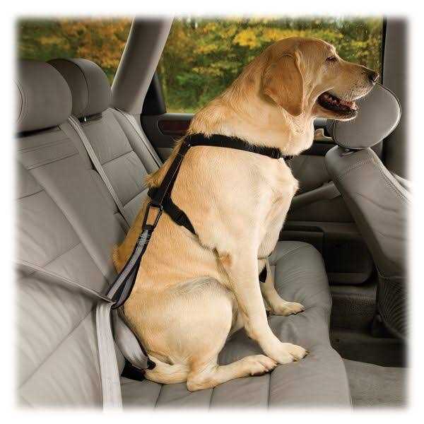 Seat Belt Tether with Carabiner D73299