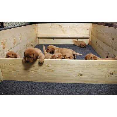 Whelping Box Liner Mat F9598