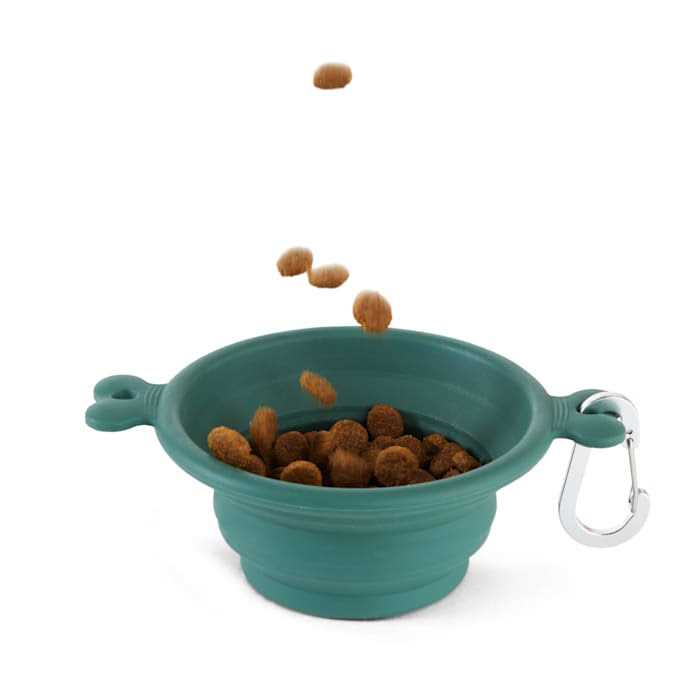 Collapsible Bowl for Dogs A24058