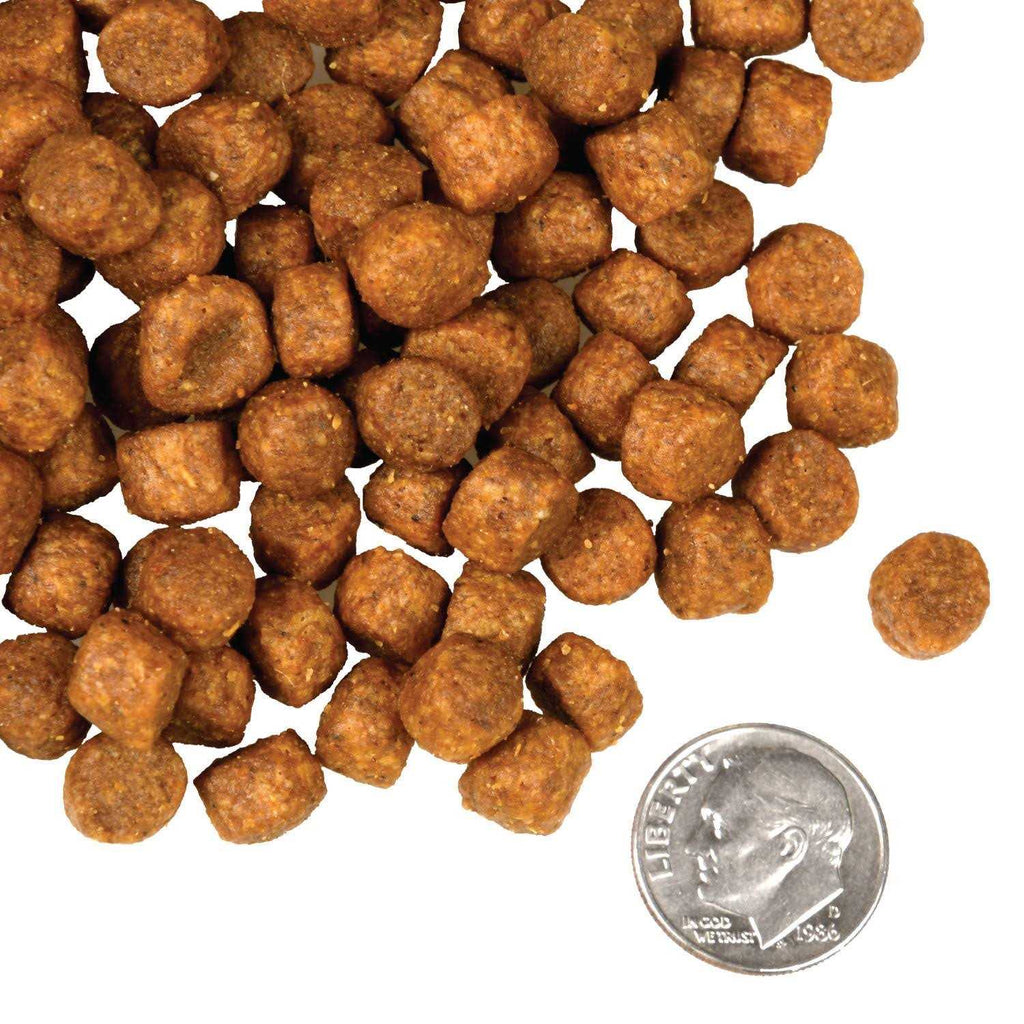Dry Dog Food S658