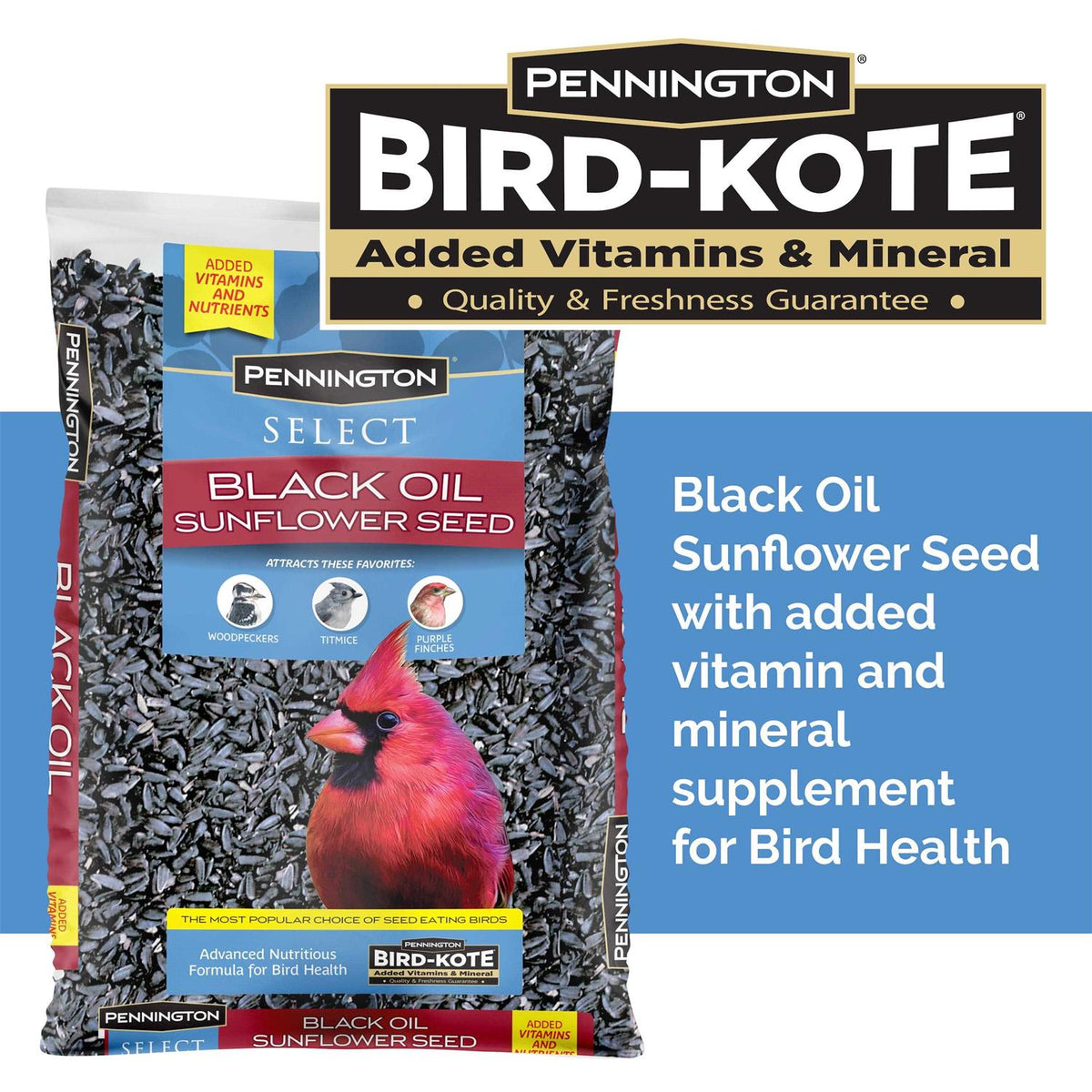 Black Oil Sunflower Seed Wild Bird Feed A6507