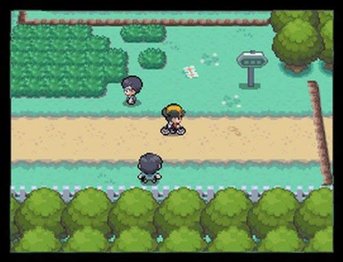 Pokemon SoulSilver Version D188953