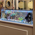Crystal Bookshelf Aquarium Y6670