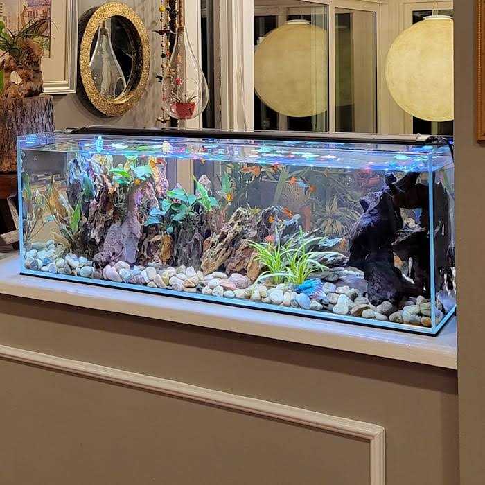 Crystal Bookshelf Aquarium Y6670