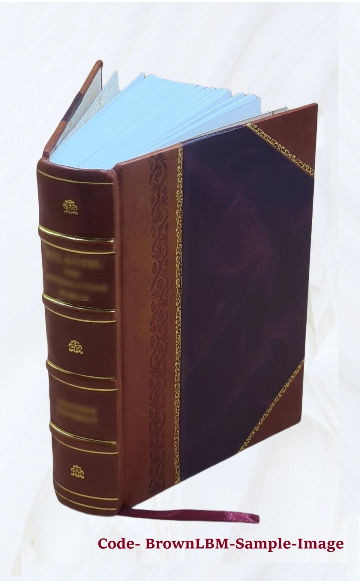 Médecine domestique Volume 4 Leather Bound X312