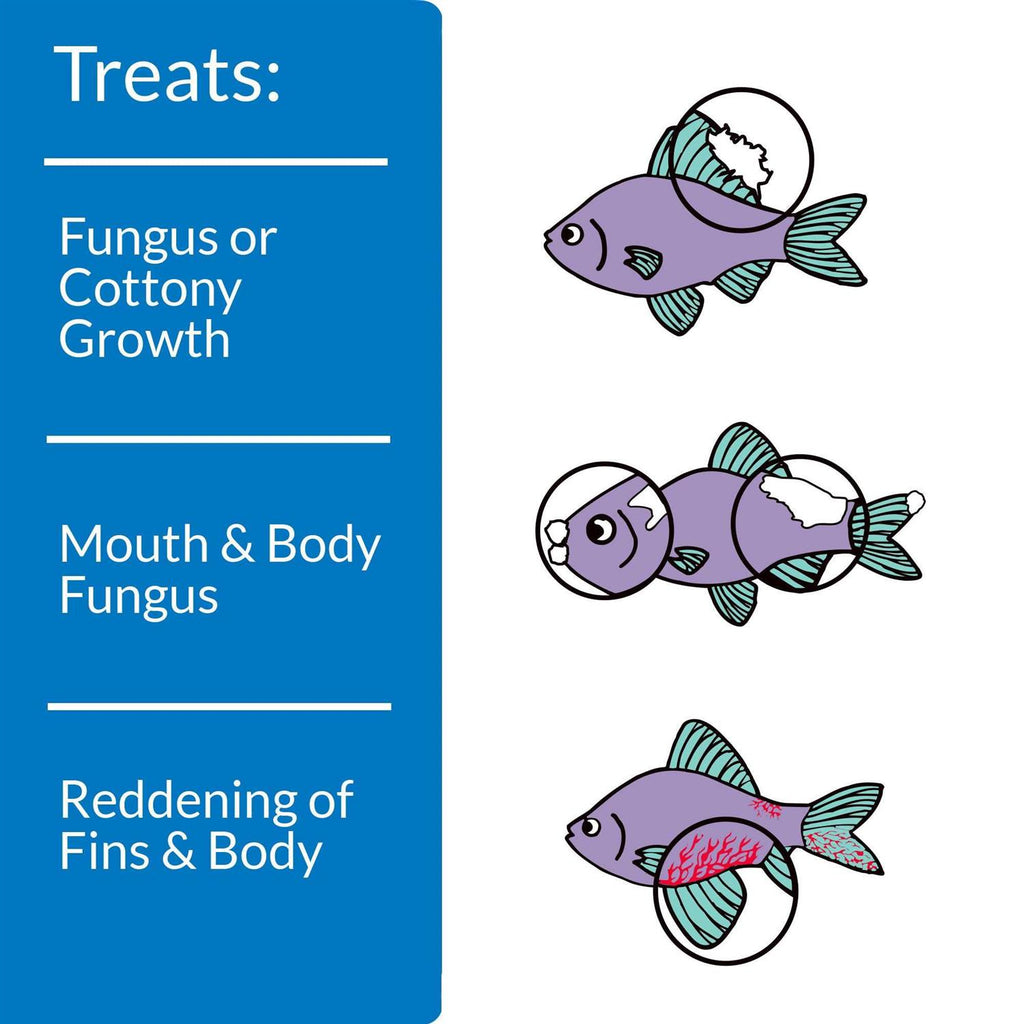 Fish Remedy C48644