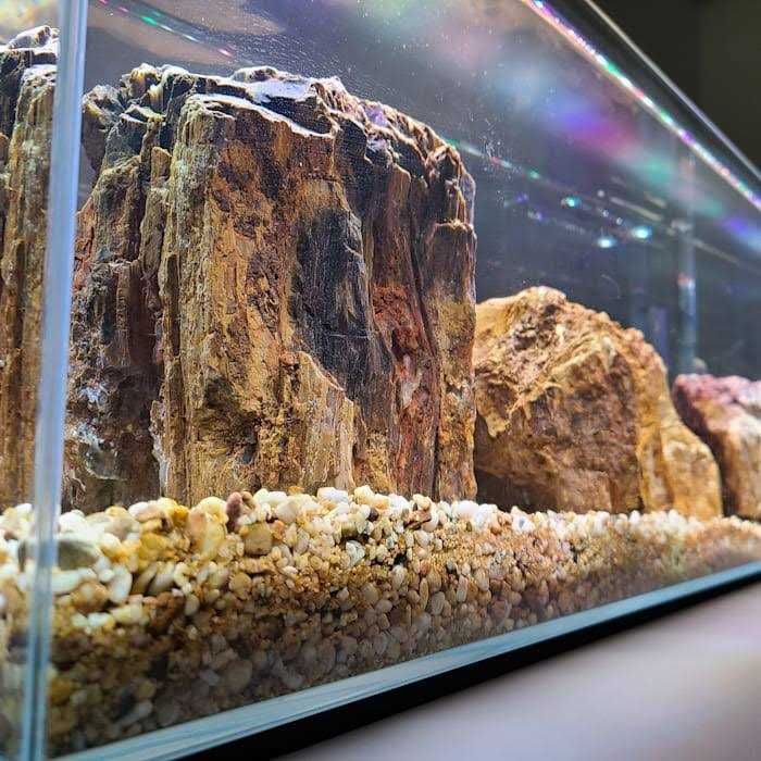 Crystal Bookshelf Aquarium Y6670