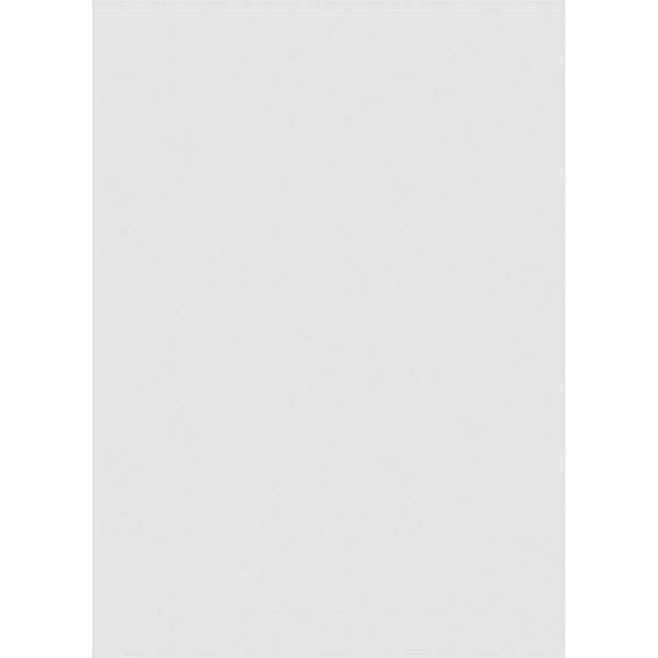 30x22W x 42x22H Vertical Surface Mount PVC Gable Vent with Brickmould U77010
