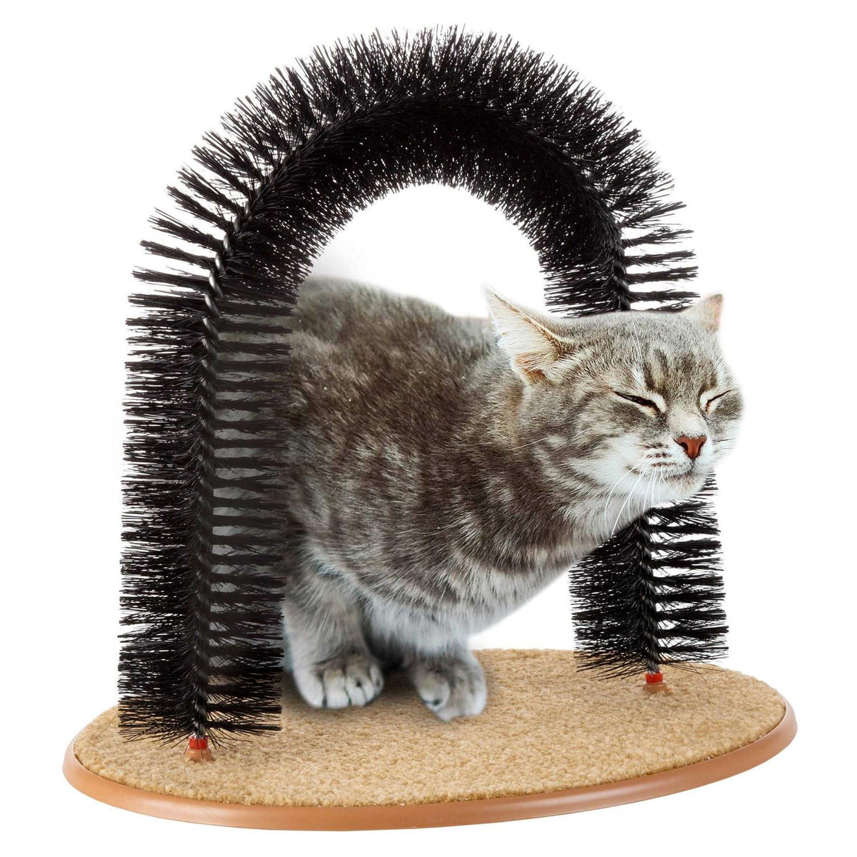 Self Grooming Cat Arch B794