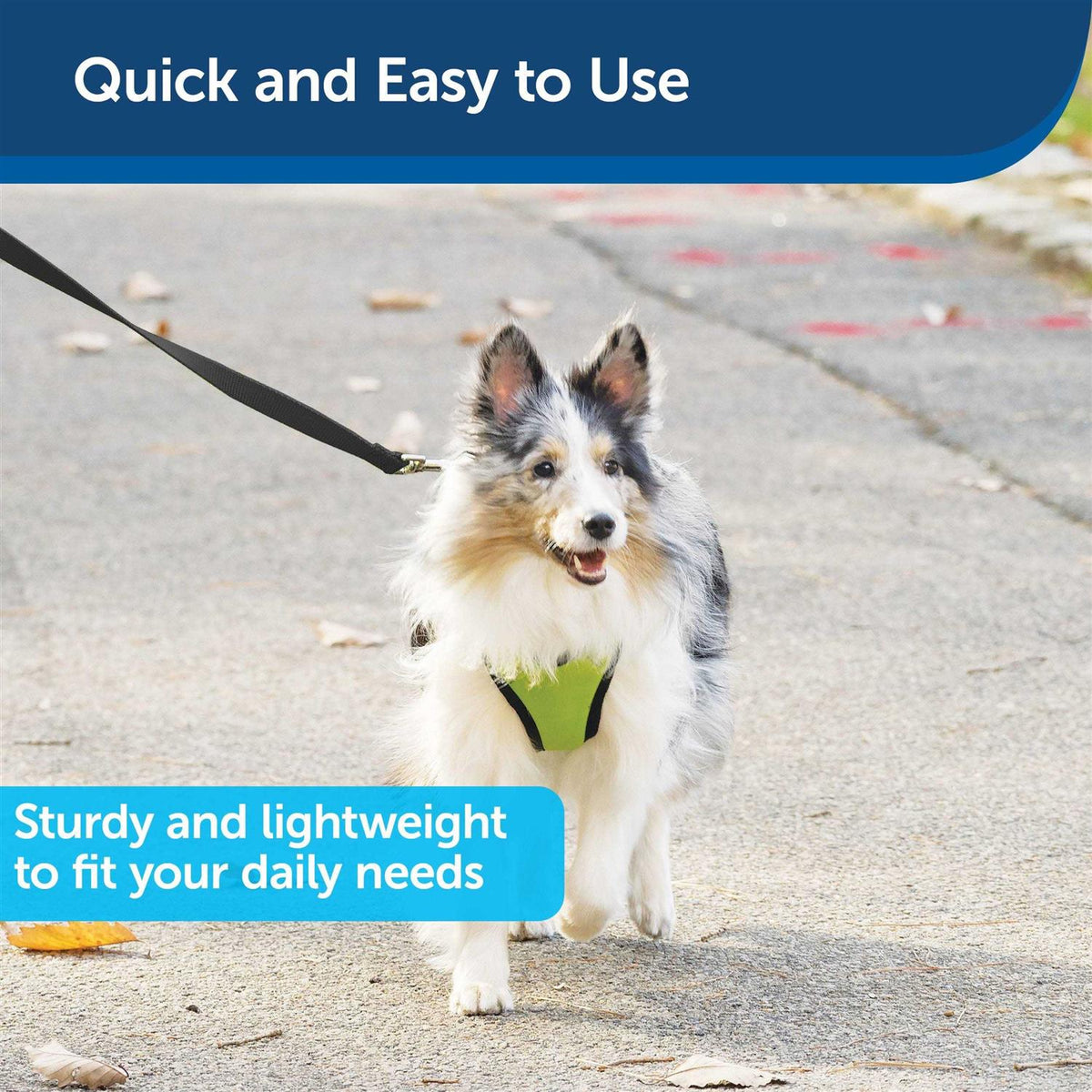 Nylon Dog Leash C309