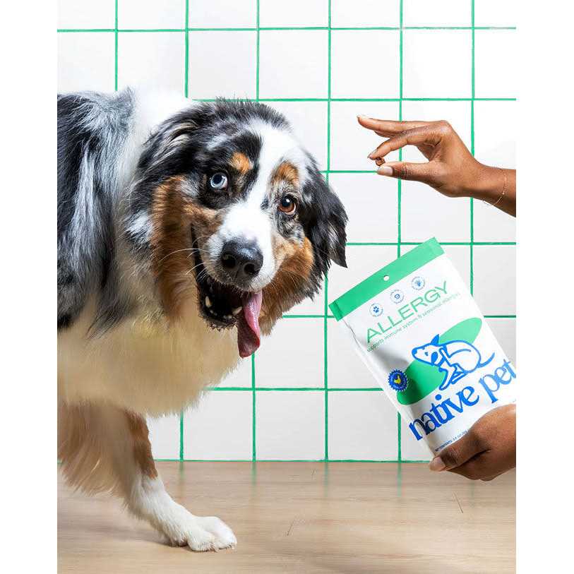 Allergy Chews for Dogs T6139