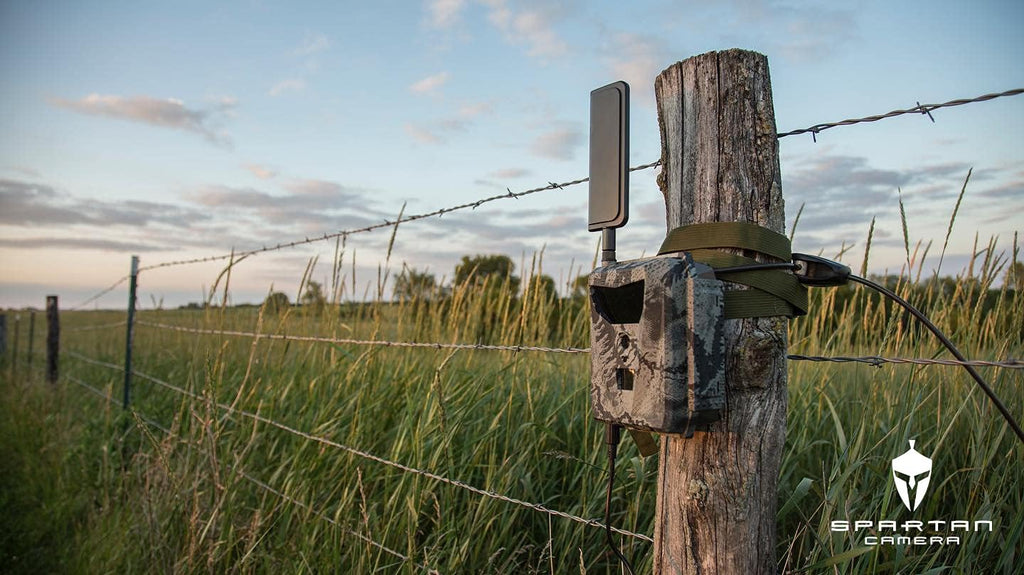 Cellular Scouting Camera with Steel Reinforced Strap D249
