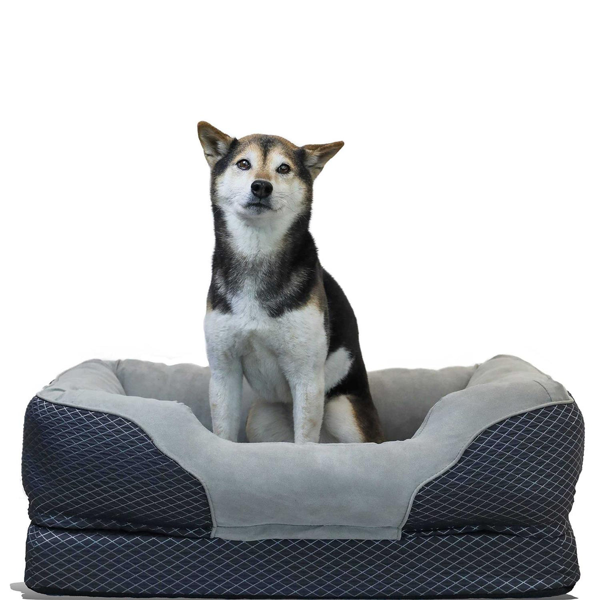 Gray Orthopedic Dog Bed H789