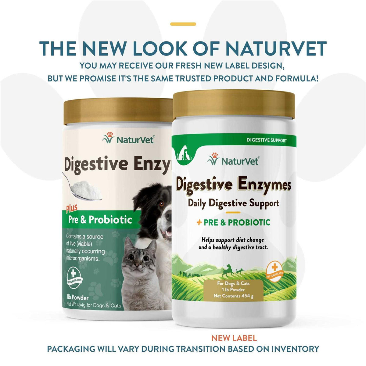 Digestive Enzymes Powder P135