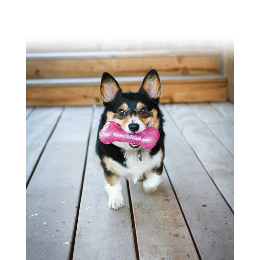 Dog Bone C923858