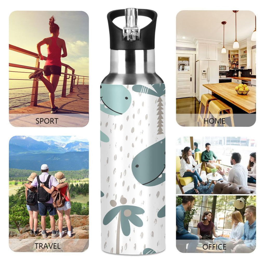 Stainless Steel Insulated Water Bottle with Straw Lid T507
