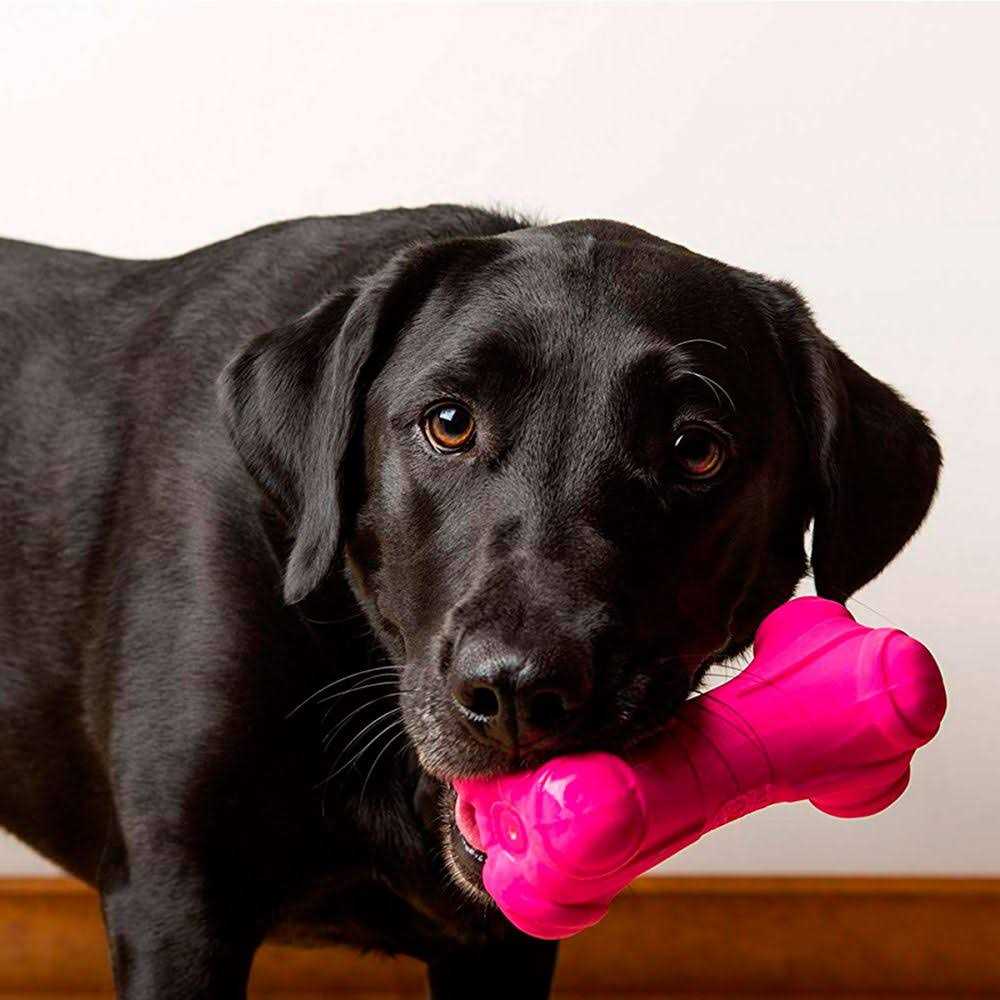 Dura Play Bone Dog Toy S822266
