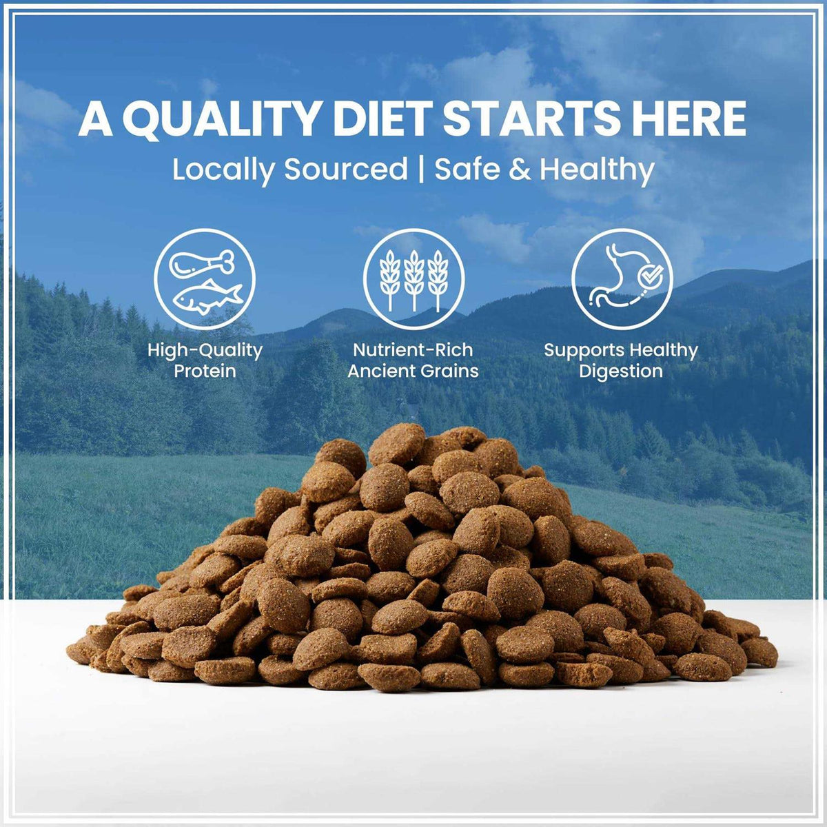 Ancient Grains with Chicken Dog Food H67335