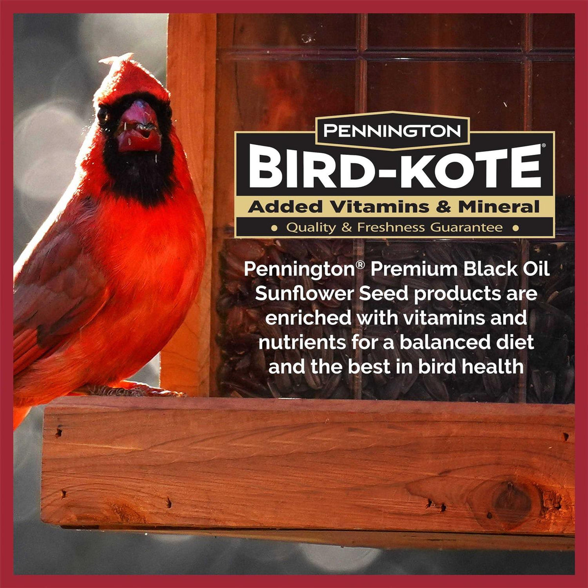 Black Oil Sunflower Seed Wild Bird Feed A6507