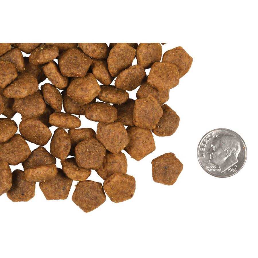 Adult Dog Food Q6684