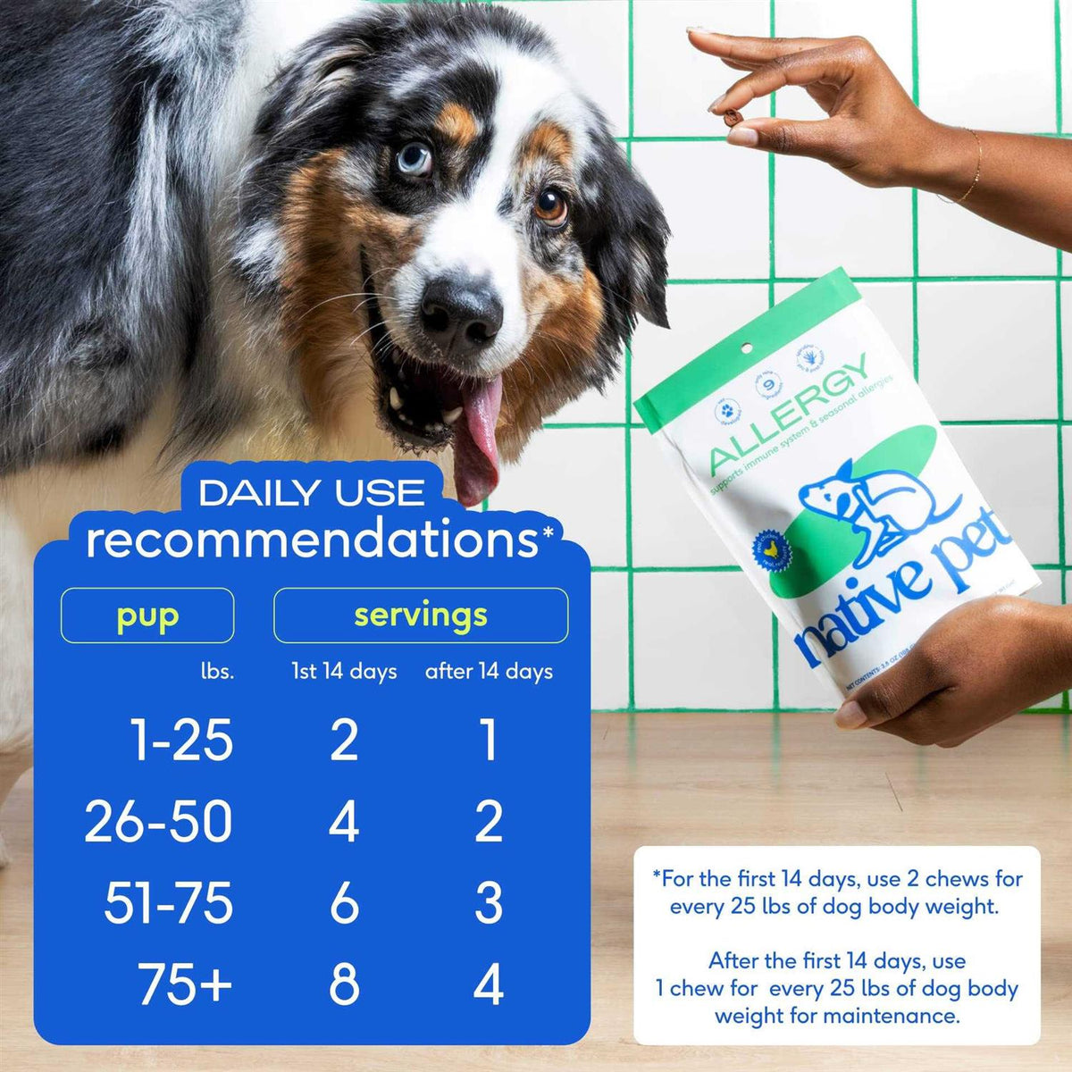 Allergy Chews for Dogs T6139