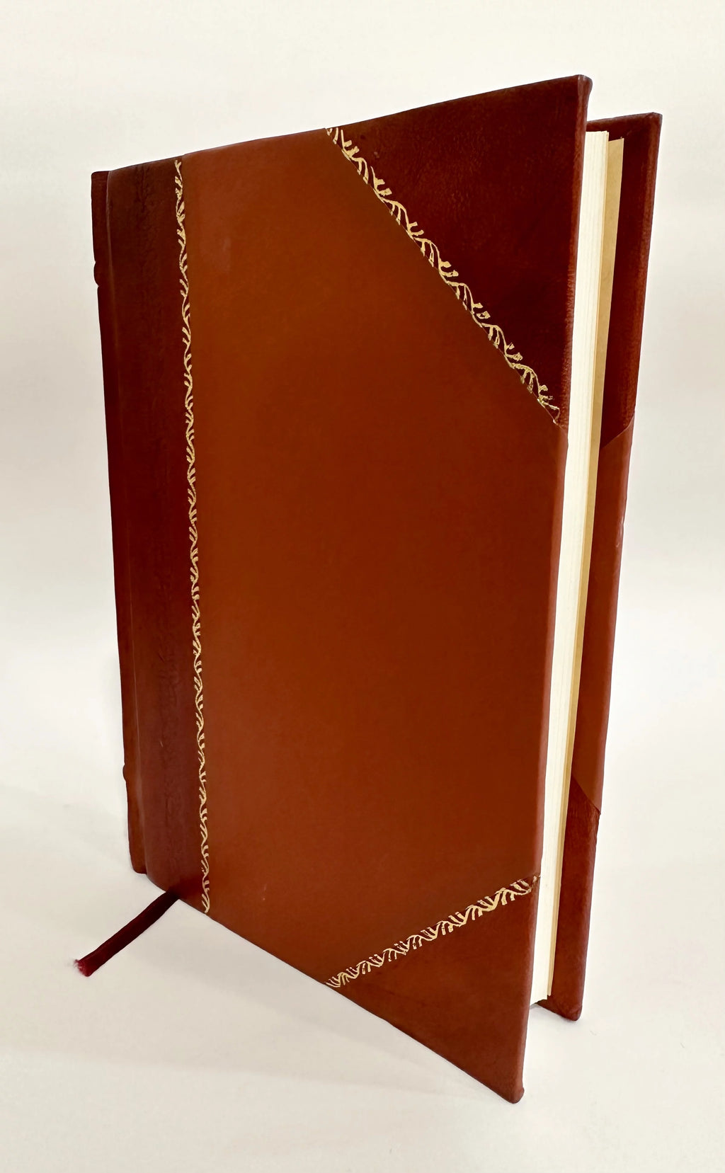 Am Rio Negro Ein Zukunftsgebiet Germanischer Niederlassung Reisen Nach Dem Argentinischen Rio Negro-Territorium Ein FuHrer FuR Ansiedler Unternehmer Und Leather Bound H917