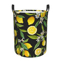 Round Laundry Hamper with Handles N540