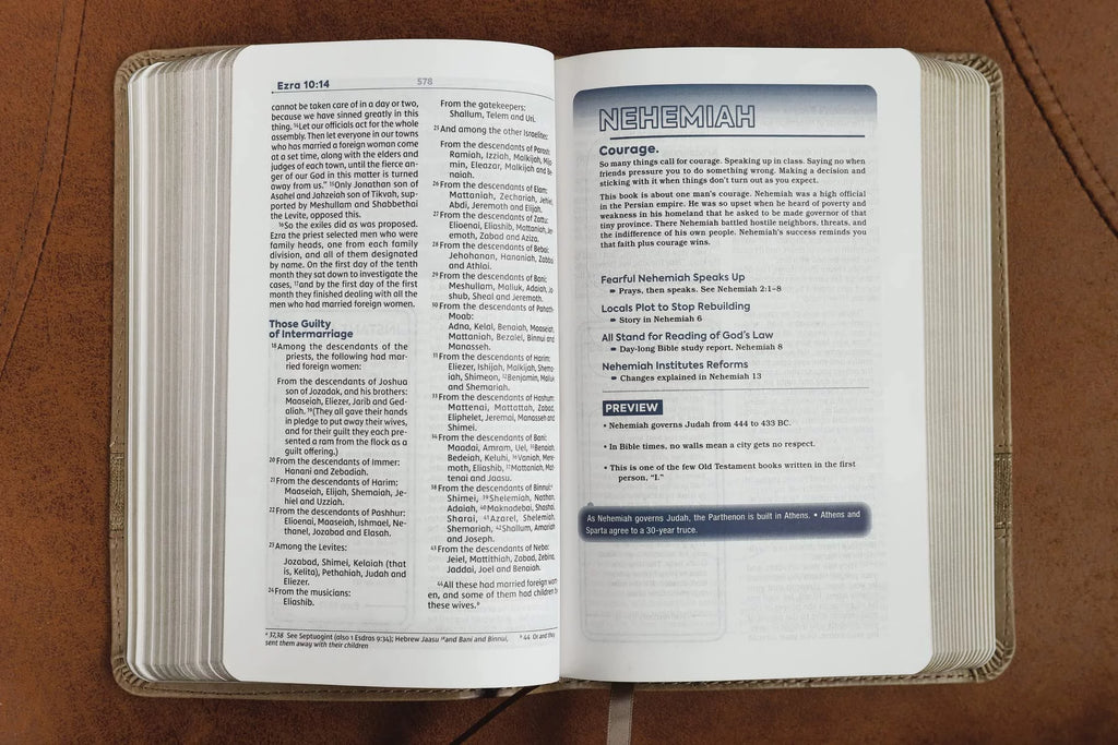 Teen Study Bible Compact Brown Comfort Print P5086