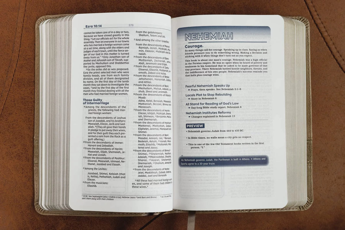 Teen Study Bible Compact Brown Comfort Print P5086