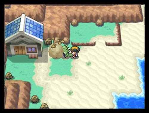 Pokemon SoulSilver Version D188953