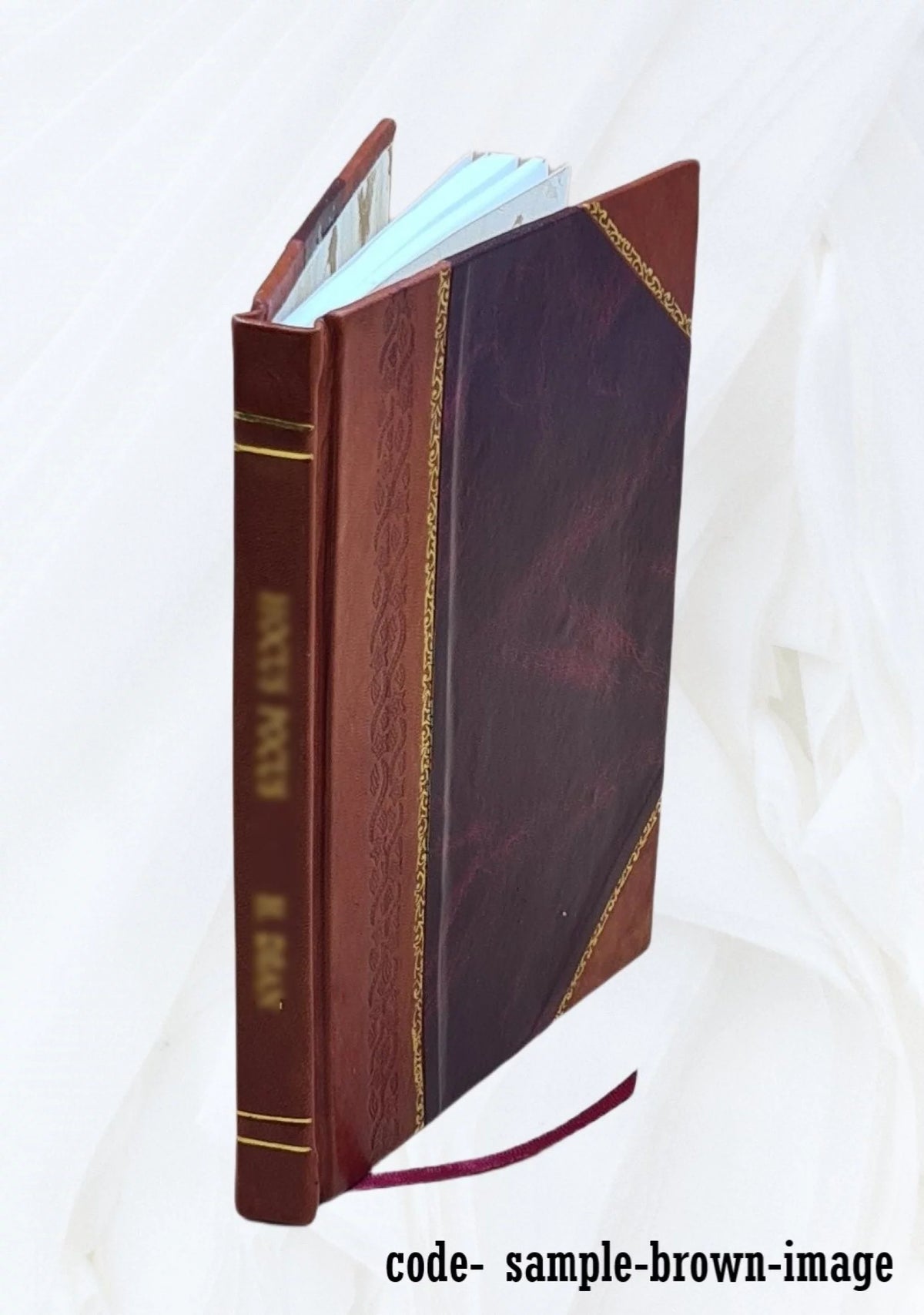 Water Balances Guide Manual Leather Bound H361