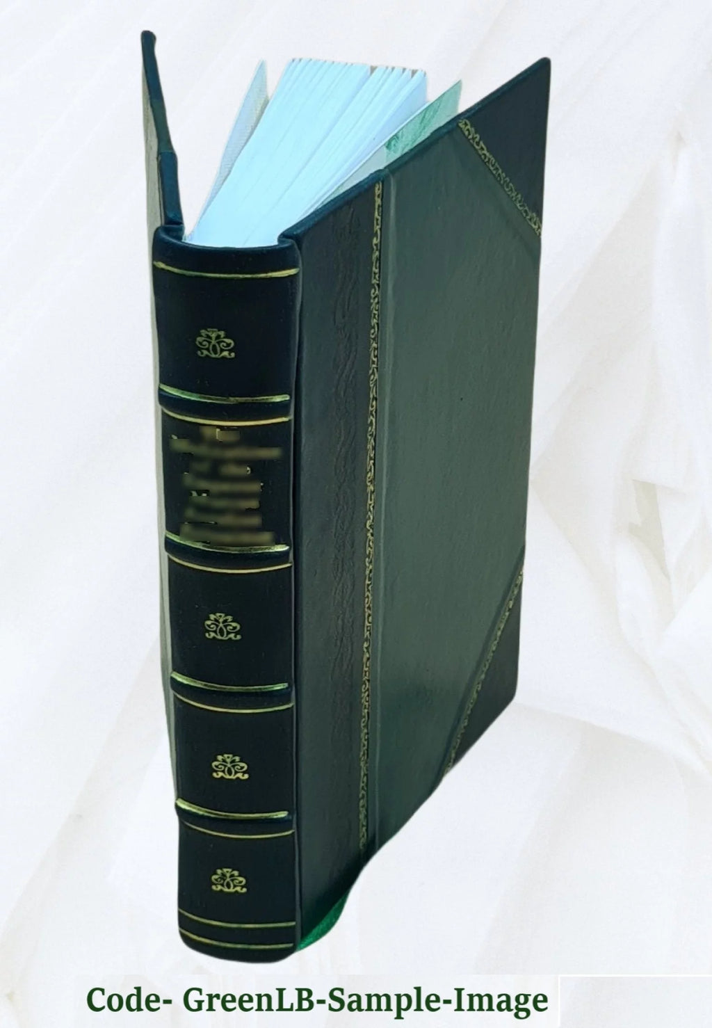 Leather Bound Book R17380
