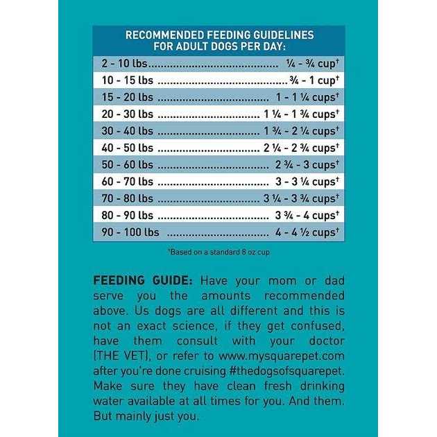 Skin & Digestive Support Dry Dog Food J369033