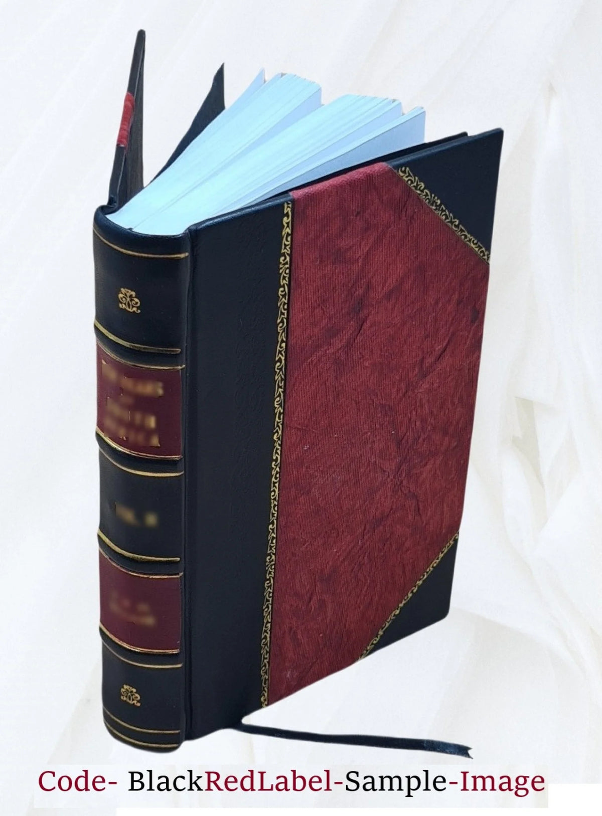 Leather Bound Book R17380