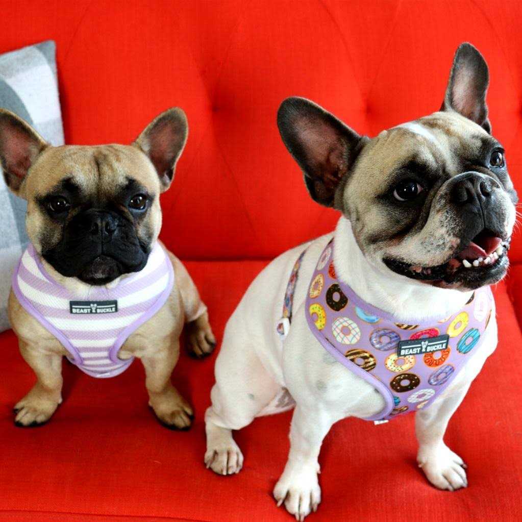Reversible Dog Harness A1990